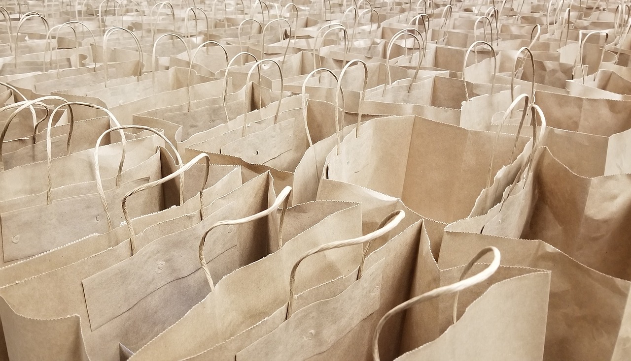 Plastic vs Paper Bag – GreenEdu